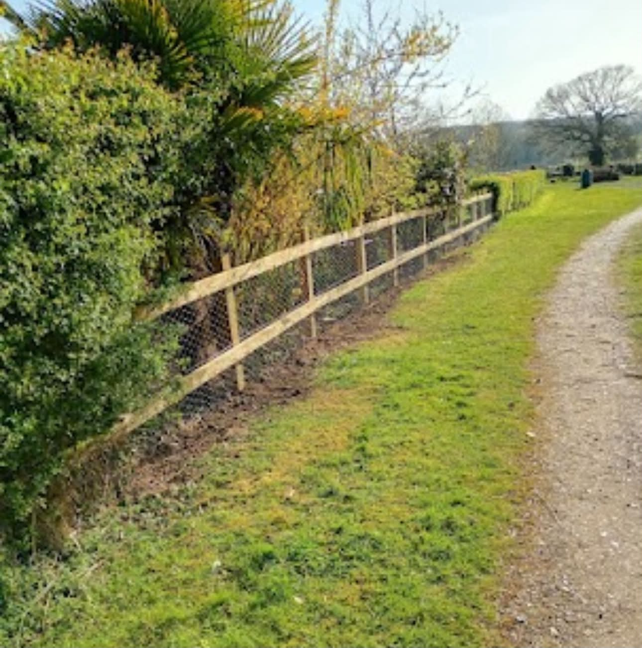 Post-and-rail livestock fencing beside a rural track