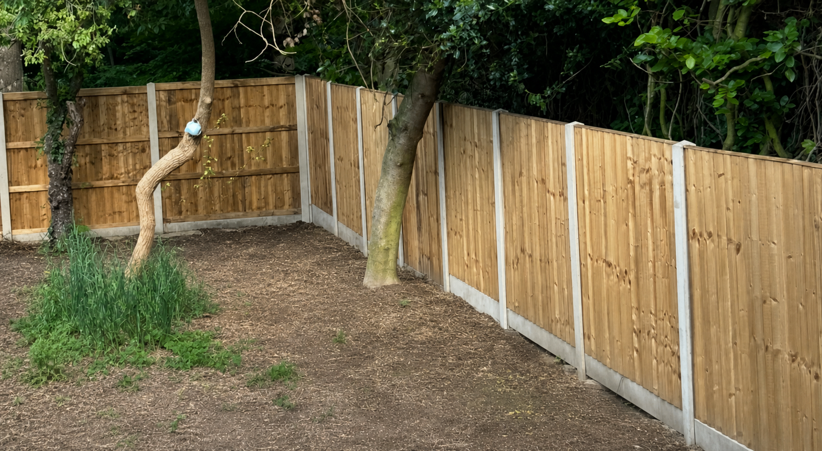 Timber panel fencing fitted around established trees